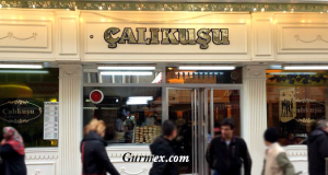 Çalıkuşu Döner