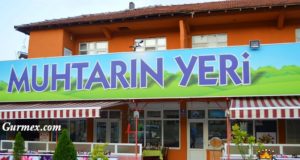 Muhtarın Yeri Çakallı