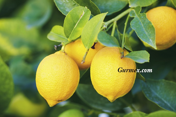 Limon Kemoterapiden Daha Etkili