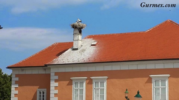 rust-leylekler-kasabasi