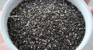 Chia Tohumu