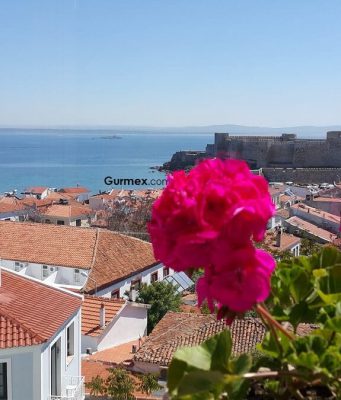 Ela Tenedos Otel Bozcaada