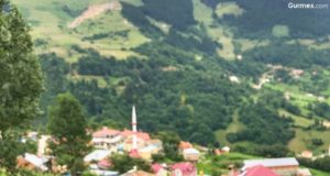 Niyazi Usta Hamsiköy