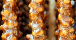 Elazığ Orcik Festivali